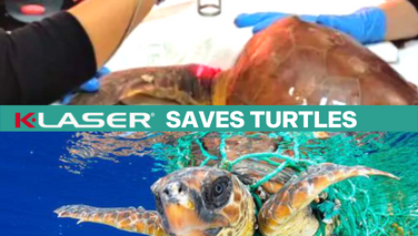 K-Laser save turtles.